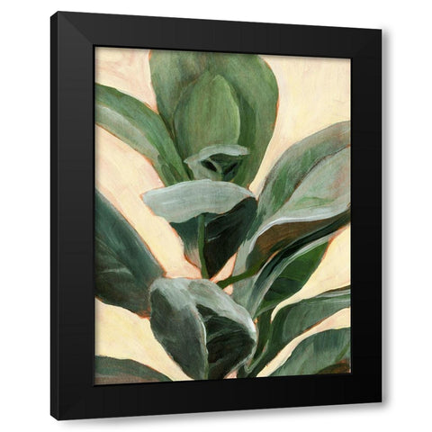 Custom Plant Study II Black Modern Wood Framed Art Print by Warren, Annie