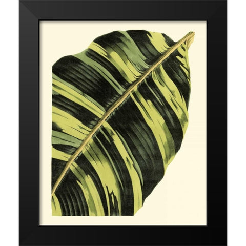 Grandiose Leaves II Black Modern Wood Framed Art Print by Vision Studio