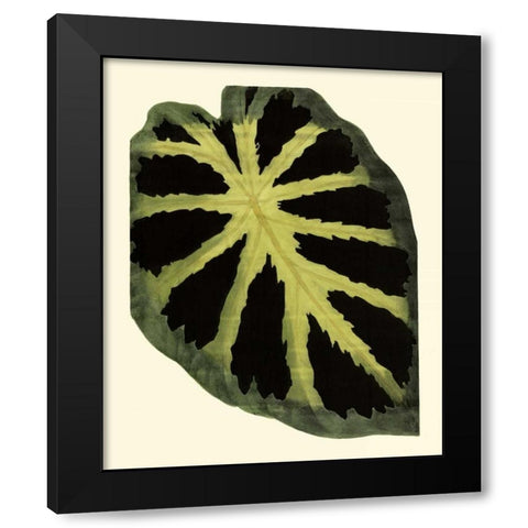 Grandiose Leaves III Black Modern Wood Framed Art Print with Double Matting by Vision Studio