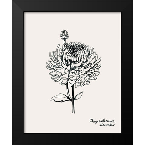 Annual Flowers XI Black Modern Wood Framed Art Print by Popp, Grace