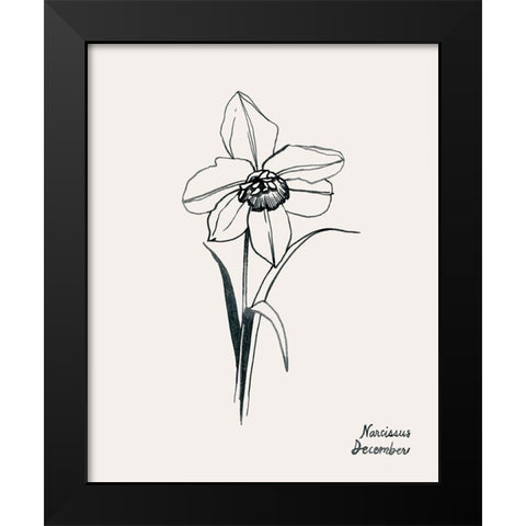 Annual Flowers XII Black Modern Wood Framed Art Print by Popp, Grace