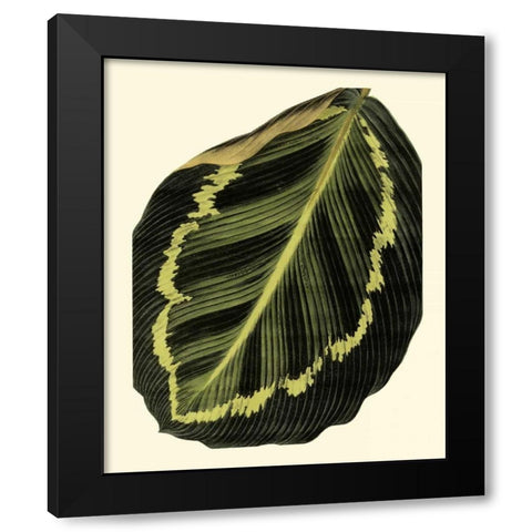 Grandiose Leaves IV Black Modern Wood Framed Art Print with Double Matting by Vision Studio