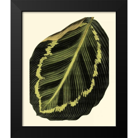 Grandiose Leaves IV Black Modern Wood Framed Art Print by Vision Studio