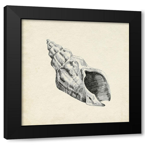 Seashell Pencil Sketch II Black Modern Wood Framed Art Print by Caroline, Emma
