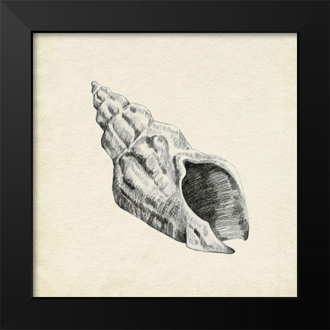 Seashell Pencil Sketch II Black Modern Wood Framed Art Print by Caroline, Emma