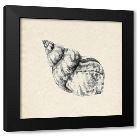 Seashell Pencil Sketch III Black Modern Wood Framed Art Print by Caroline, Emma