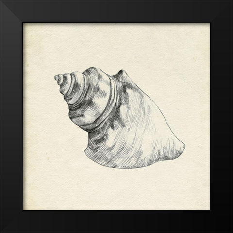 Seashell Pencil Sketch IV Black Modern Wood Framed Art Print by Caroline, Emma