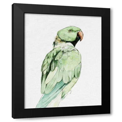 Bright Parrot Portrait II Black Modern Wood Framed Art Print with Double Matting by Caroline, Emma