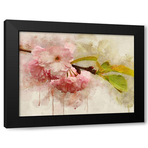 Blossom Elegance I Black Modern Wood Framed Art Print by Robertson, Leda