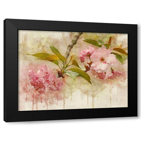 Blossom Elegance II Black Modern Wood Framed Art Print with Double Matting by Robertson, Leda