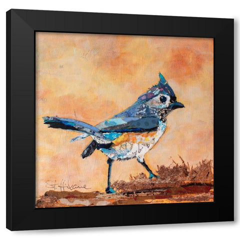 Tufted Titmouse Black Modern Wood Framed Art Print with Double Matting by St. Hilaire, Elizabeth