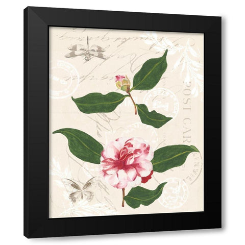 Diannes Camelias III Black Modern Wood Framed Art Print with Double Matting by Miller, Dianne