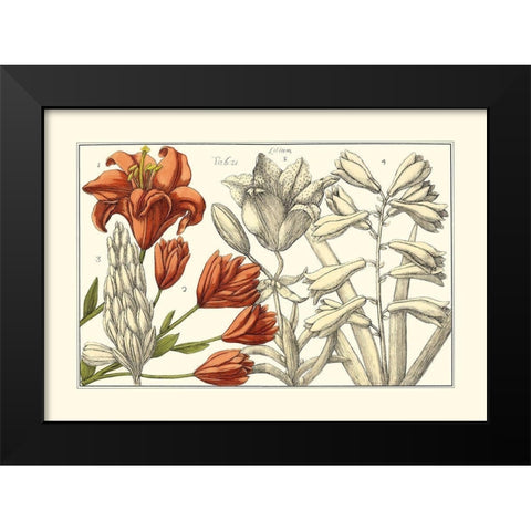 Embellished Arena Botanical I Black Modern Wood Framed Art Print by Arena