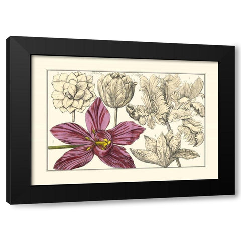 Embellished Arena Botanical IV Black Modern Wood Framed Art Print by Arena