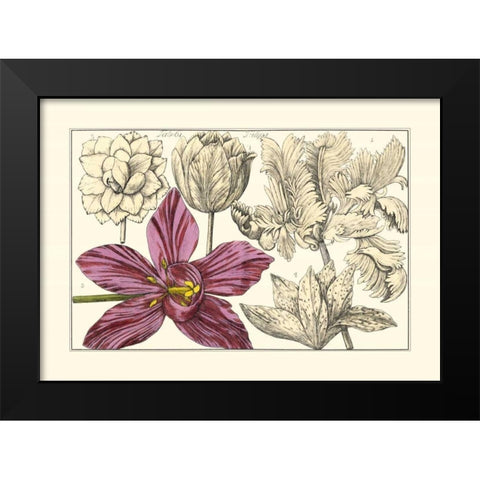 Embellished Arena Botanical IV Black Modern Wood Framed Art Print by Arena