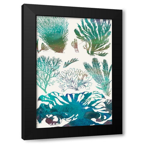 Aquatic Assemblage II Black Modern Wood Framed Art Print by Chandler, Sharon