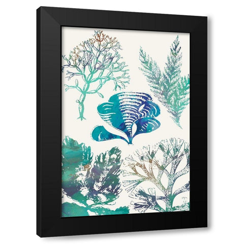 Aquatic Assemblage III Black Modern Wood Framed Art Print by Chandler, Sharon