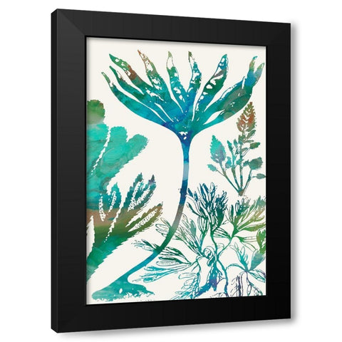 Aquatic Assemblage IV Black Modern Wood Framed Art Print by Chandler, Sharon