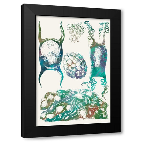 Aquatic Assemblage VI Black Modern Wood Framed Art Print by Chandler, Sharon