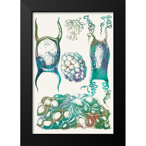 Aquatic Assemblage VI Black Modern Wood Framed Art Print by Chandler, Sharon