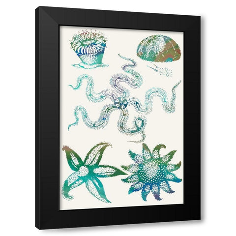 Aquatic Assemblage VII Black Modern Wood Framed Art Print by Chandler, Sharon