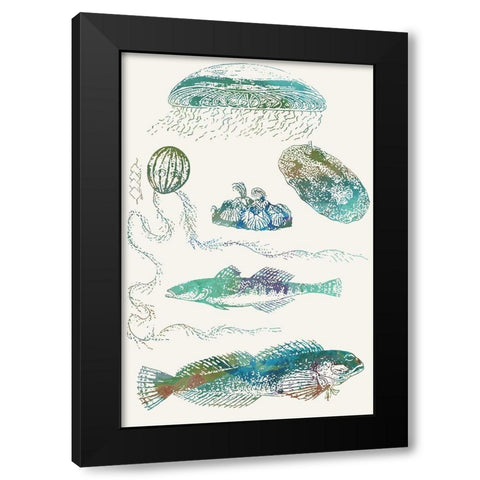 Aquatic Assemblage IX Black Modern Wood Framed Art Print with Double Matting by Chandler, Sharon
