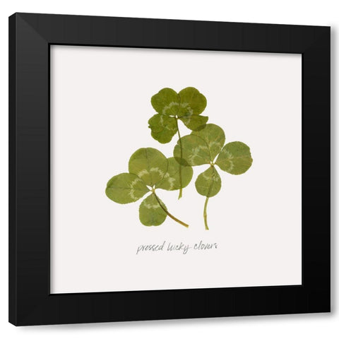 Pressed Clover II Black Modern Wood Framed Art Print with Double Matting by Popp, Grace