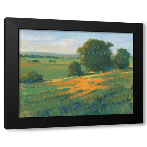 Poppy Fields II Black Modern Wood Framed Art Print with Double Matting by OToole, Tim