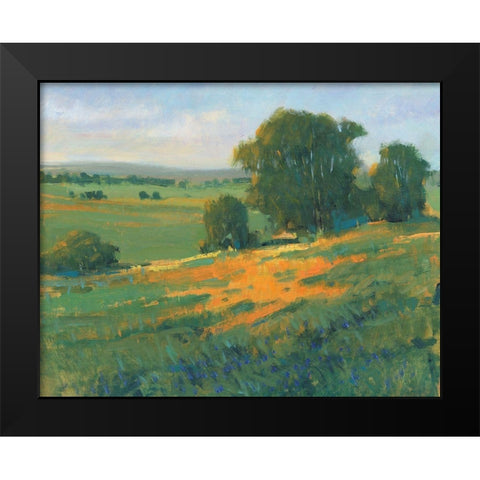 Poppy Fields II Black Modern Wood Framed Art Print by OToole, Tim