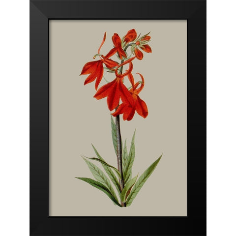 Botanical Array VII Black Modern Wood Framed Art Print by Vision Studio