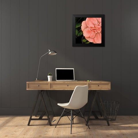 Dramatic Camellia I Black Modern Wood Framed Art Print by Vision Studio