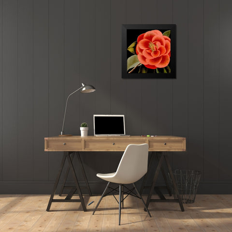 Dramatic Camellia III Black Modern Wood Framed Art Print by Vision Studio