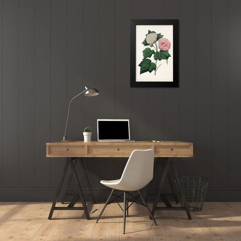 Vintage Rose Clippings II Black Modern Wood Framed Art Print by Vision Studio