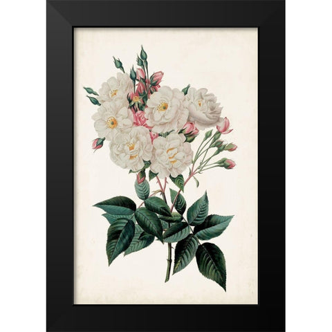 Vintage Rose Clippings IV Black Modern Wood Framed Art Print by Vision Studio