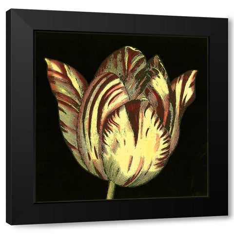 Dramatic Blooms V Black Modern Wood Framed Art Print with Double Matting by Vision Studio