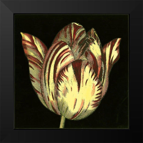 Dramatic Blooms V Black Modern Wood Framed Art Print by Vision Studio