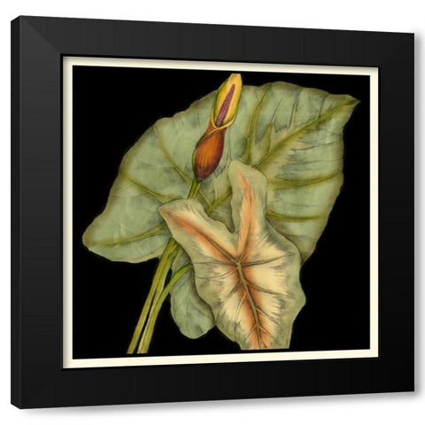 Graphic Tropicals I Black Modern Wood Framed Art Print with Double Matting by Goldberger, Jennifer