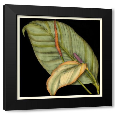 Graphic Tropicals II Black Modern Wood Framed Art Print with Double Matting by Goldberger, Jennifer