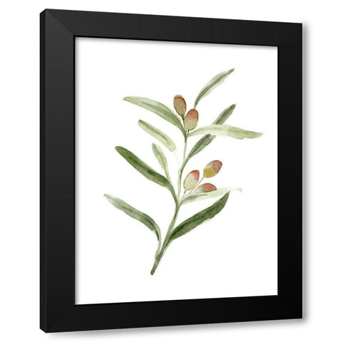 Sweet Olive Branch II Black Modern Wood Framed Art Print by Caroline, Emma