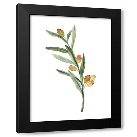 Sweet Olive Branch III Black Modern Wood Framed Art Print with Double Matting by Caroline, Emma