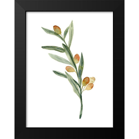Sweet Olive Branch III Black Modern Wood Framed Art Print by Caroline, Emma