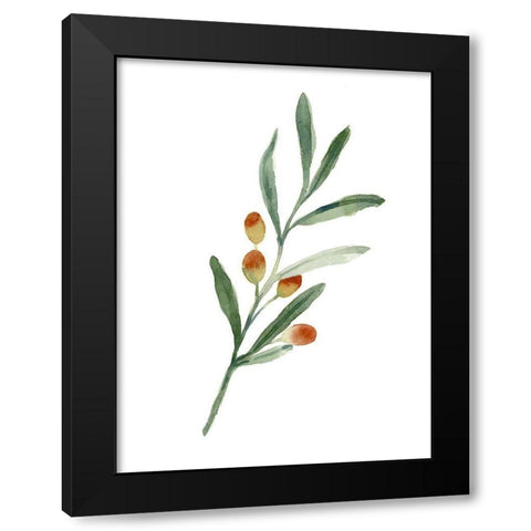 Sweet Olive Branch IV Black Modern Wood Framed Art Print by Caroline, Emma