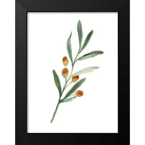 Sweet Olive Branch IV Black Modern Wood Framed Art Print by Caroline, Emma