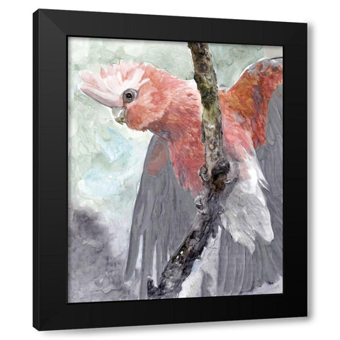 Tropic Parrot II Black Modern Wood Framed Art Print with Double Matting by Stellar Design Studio