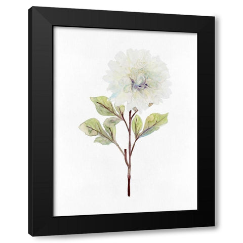 White Blossom I Black Modern Wood Framed Art Print with Double Matting by Stellar Design Studio