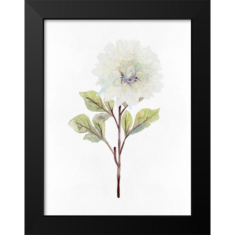 White Blossom I Black Modern Wood Framed Art Print by Stellar Design Studio