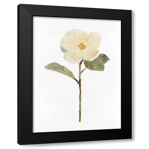 White Blossom II Black Modern Wood Framed Art Print by Stellar Design Studio