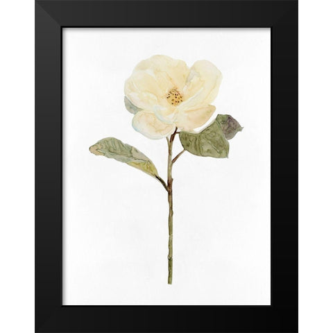 White Blossom II Black Modern Wood Framed Art Print by Stellar Design Studio