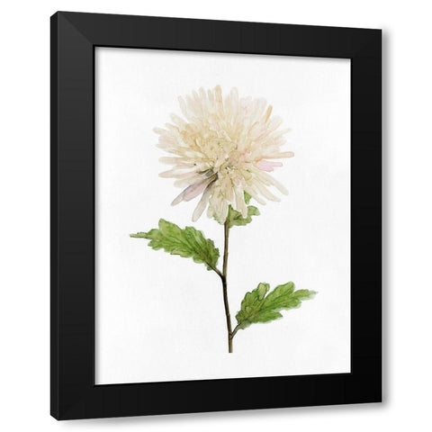 White Blossom IV Black Modern Wood Framed Art Print by Stellar Design Studio