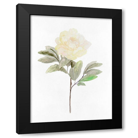 White Blossom V Black Modern Wood Framed Art Print with Double Matting by Stellar Design Studio